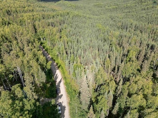 NHN Whistling Swan Dr, Fairbanks, AK 99712