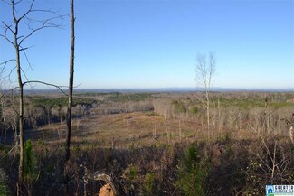 0 County Road 71 Unit 43.27 ac 751837, Woodland, AL 36280