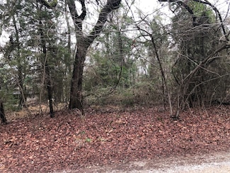 TBD Ridge Way, Malakoff, TX 75148