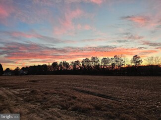 Lot 1 Royal Tern Dr, Delmar, MD 21875