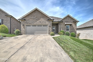 124 Ripple Falls Private Dr, Gray, TN 37615