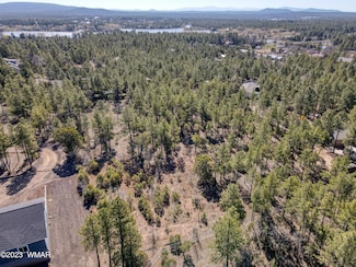 1481 Lacie Ln, Lakeside, AZ 85929