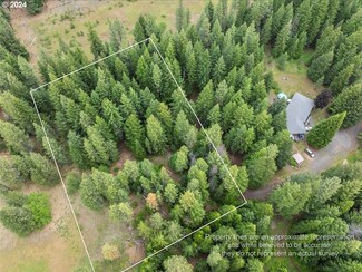 0 Marjeren Ln Unit 24365859, Troutlake, WA 98650