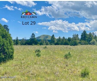 Lot 29 Red Cabin Ranch Unit Fox Tr, Vernon, AZ 85940