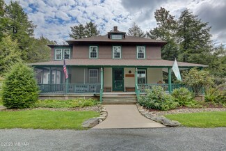 86 Mineral Springs Ave, Muncy Valley, PA 17731