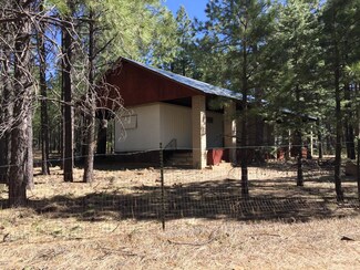 1869 State Route 260, Forest Lakes, AZ 85931