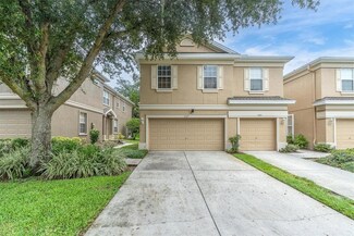 4127 Bismarck Palm Dr, Tampa, FL 33610