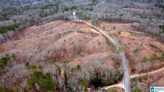 0 County Road 127 Unit 32.99 acres, Sylacauga, AL 35150
