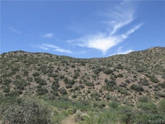 0 Oxen Pass Unit 15135, Wikieup, AZ 85360