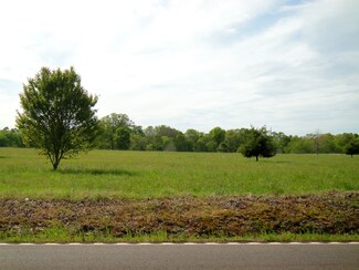 0 Kendrick Rd Unit 9995419, Counce, TN 38326