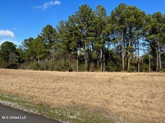 Tbd Southern Hills (Parcel 3) Dr, Lucedale, MS 39452