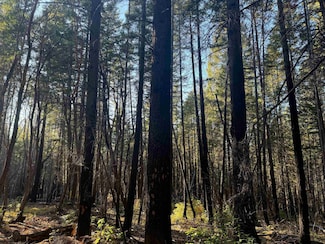 5 Acres Cade Mountain 19n01 Forest Rd, Happy Camp, CA 96039