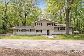 5203 Nestrom Rd, Whitehall, MI 49461
