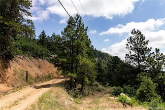 00 Goins Dr, Morrison, CO 80465