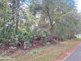 201 Pineway West Ave, Satsuma, FL 32189