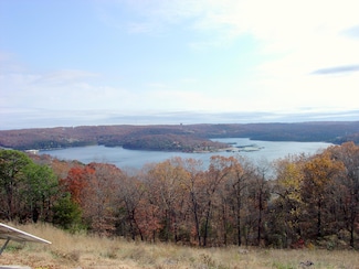 62 S Ridge Ln, Blue Eye, MO 65611