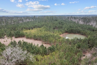 9422 Farm To Market 62, Barnum, TX 75939