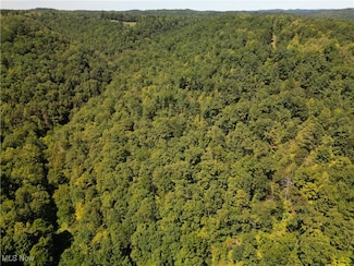 2926 White Pine Rd, Grantsville, WV 26147