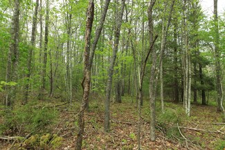 8.5 Acres Joe Branch Rd, Allardt, TN 38504