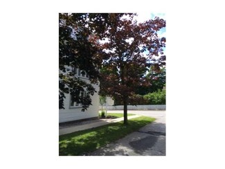 35 Summer St Unit 6, Wiscasset, ME 04578