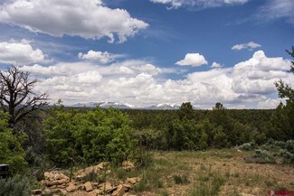 0 County Road 120, Hesperus, CO 81326