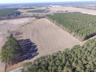 42.6 Ac Kellos Bridge Rd, Wakefield, VA 23888