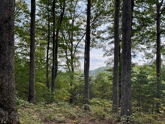 80 Paradise Alley, Russell Springs, KY 42642