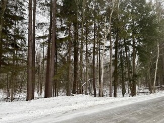 39 Acres (mol) S End Rd, Merrill, WI 54452