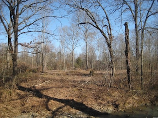 TBD Hwy 8 E, Mena, AR 71953