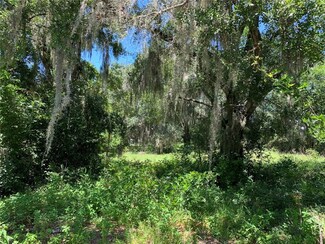 2030 SE Us Highway 41, Morriston, FL 32668