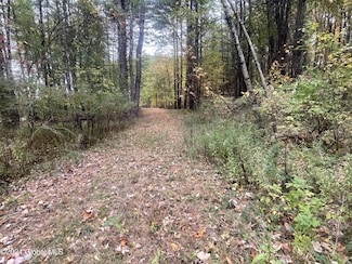 L5.2 Hillcrest Rd, South Westerlo, NY 12083