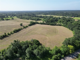 44.33 Acres County Road 202, Plantersville, TX 77363