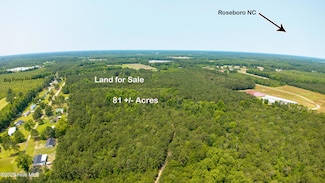 0 Big Piney Grove Rd, Clinton, NC 28328