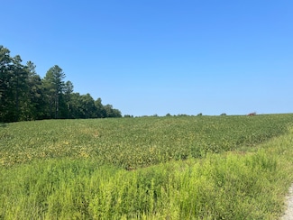 #13 Ambler Rd, Louisa, VA 23093