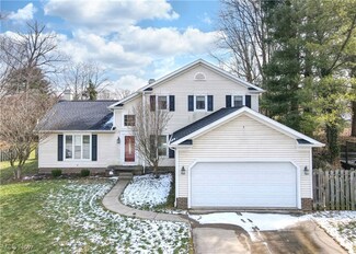 10431 Oviatt Ln, Twinsburg, OH 44087