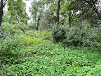 30933 Slow Ln, Buena Vista, WI 53556