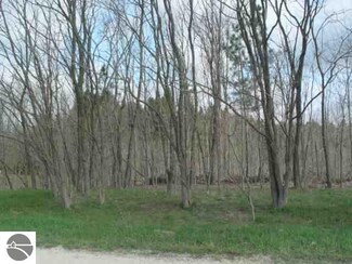 000 Hager Rd Unit O, Fife Lake, MI 49633