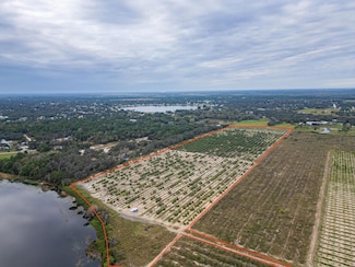 2982 N Bowden Rd, Avon Park, FL 33825