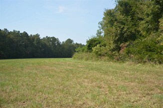0 Pearleman Teague Rd Unit 2282257, Siler City, NC 27344