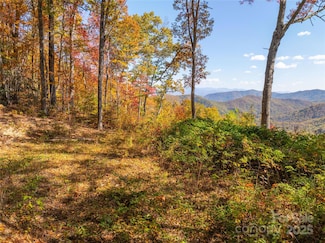 9999 Conleys Creek Rd, Bryson City, NC 28713