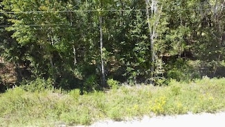 0 NE 110th Ct, Williston, FL 32696