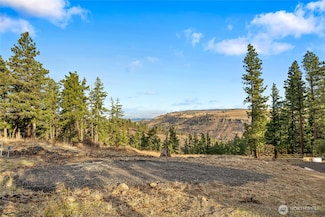 241 Morrison Canyon Ln, Cle Elum, WA 98922