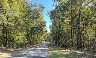 0 County Road 163, Hamilton, AL 35570