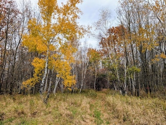 E N 20 School Rd, Glen Flora, WI 54526