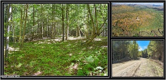 71 Carriage Knoll Rd, Chester, NY 12817
