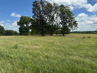 0 Nellwood Land, Lebanon, MO 65536