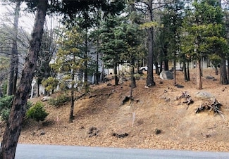 27315 Pinewood Dr, Lake Arrowhead, CA 92352