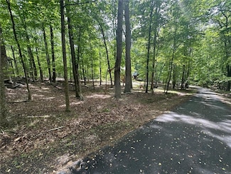 LT43 Rocky Stream Ct, Jasper, GA 30143