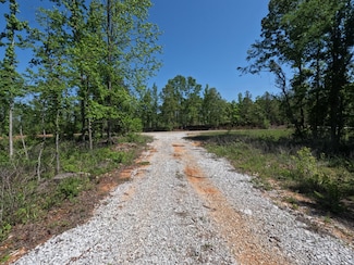 1451 Mississippi 4, New Site, MS 38859