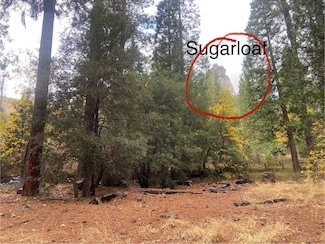 0 Pickwick Unit 224126719, Kyburz, CA 95720